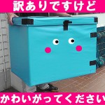 b-box300green